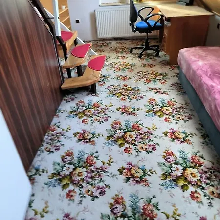 Ubytování Opava Opava